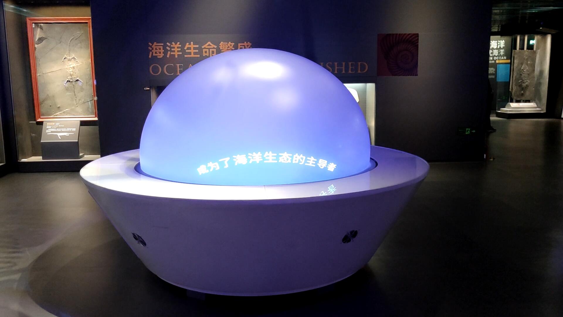 海洋生命內投球