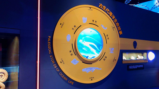 古代海洋生物故事