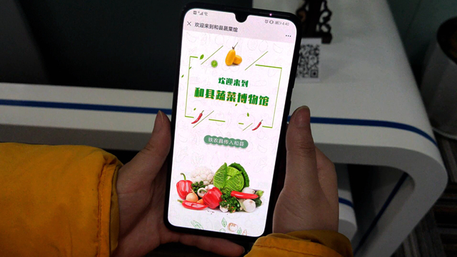 和縣蔬菜館掃碼看展項