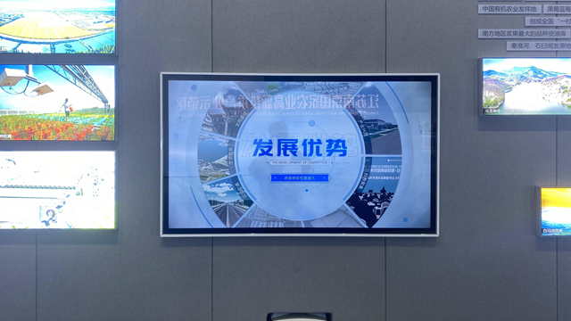 發展優勢觸摸查詢屏