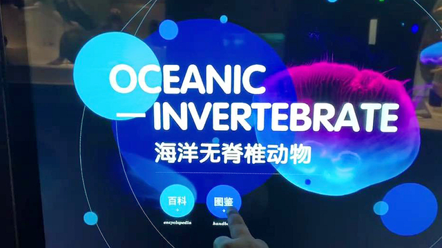海洋無脊椎動物觸摸查詢屏