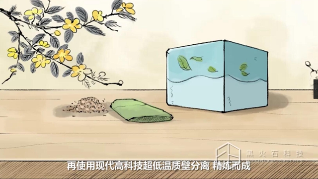 鐵皮石斛的科學配方