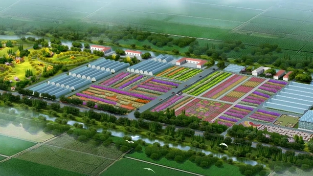 南京湖熟菊花園主題宣傳片