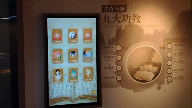 中國鐵皮石斛博物館