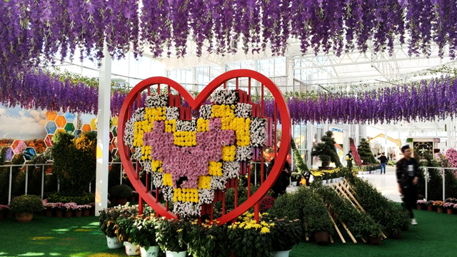 南京菊花博覽館