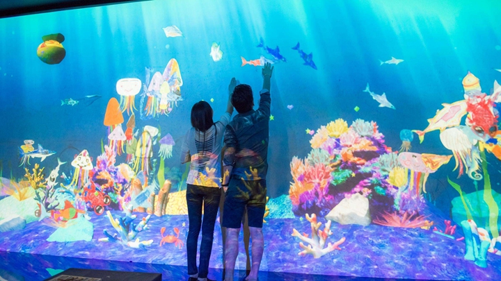 海洋館的墻面互動投影