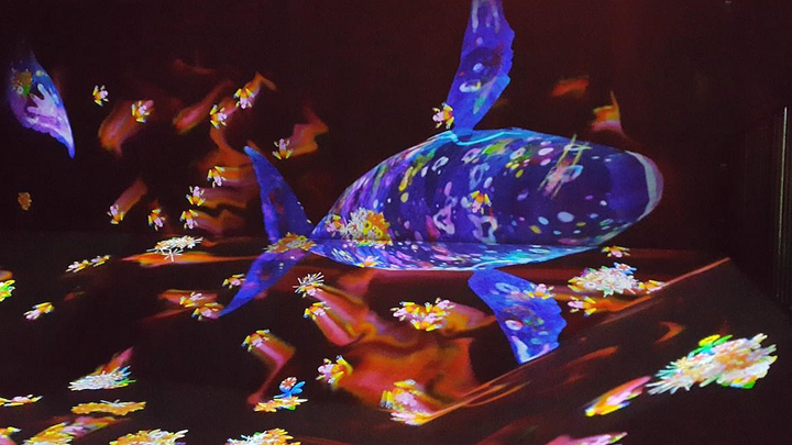 創意生物多媒體沉浸式空間