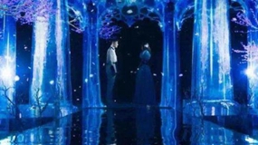 3D全息投影婚禮為什么在市場上如此火爆
