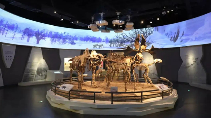 古代生物環幕投影沉浸式展區