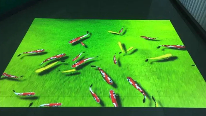 池塘游魚地面互動投影應用展示效果