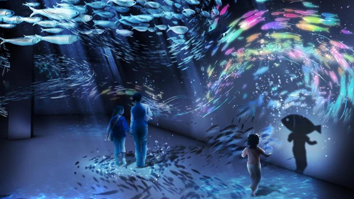 色彩繽紛的魚群沉浸式空間