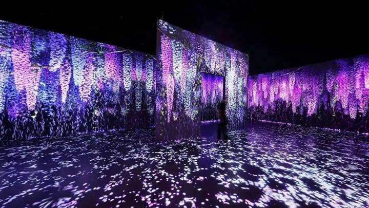 鮮花主題沉浸式展示空間