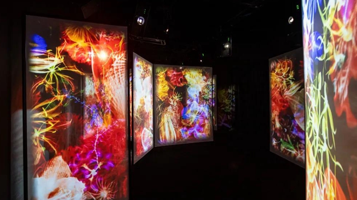 夢幻光影沉浸式展示交互空間